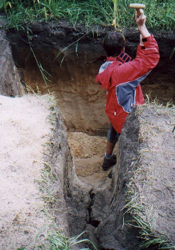 ... ein Studienkollege beim Anlegen eines Profiles (hier eine Braunerde)... 